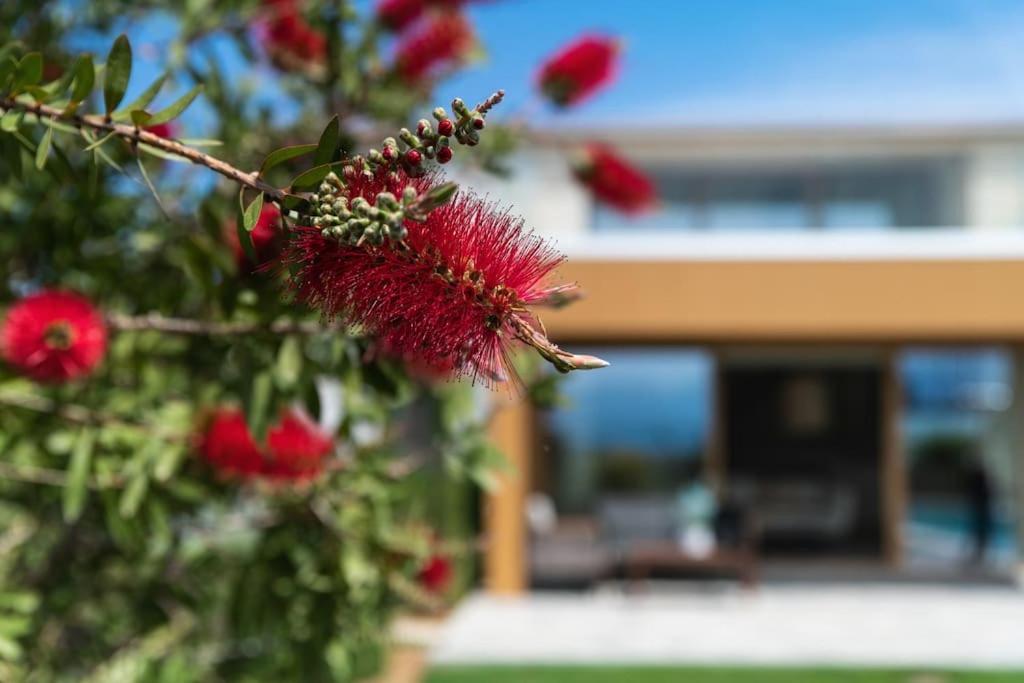 Amare Chania Luxury Residence Στέρνες Εξωτερικό φωτογραφία